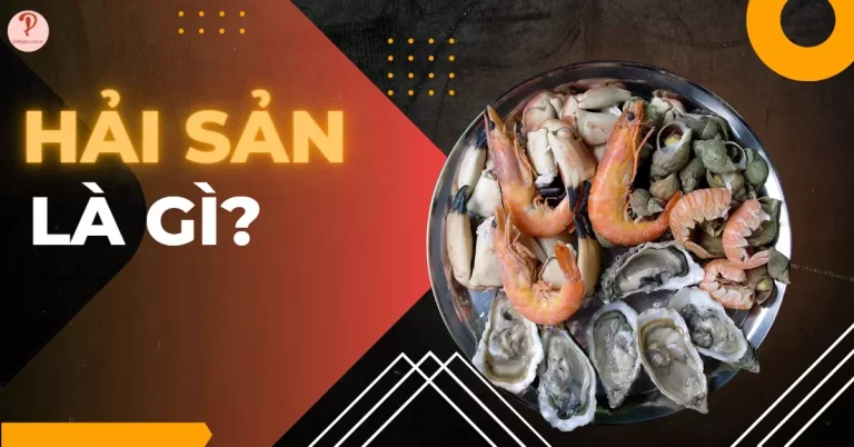 hải sản là gì?