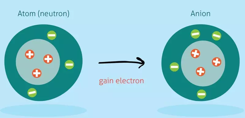Ion âm giúp lọc và loại bỏ tạp chất ô nhiễm, chính vì vậy không khí chứa càng nhiều ion âm thì càng trong lành và tinh khiết
