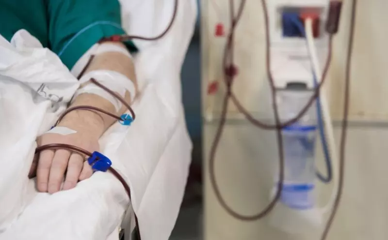 Các ion âm có thể làm giảm thời gian máu ngưng tụ, tăng hàm lượng oxy trong máu