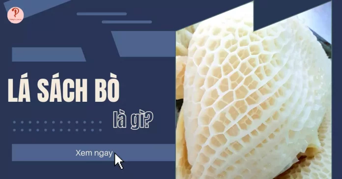 lá sách bò