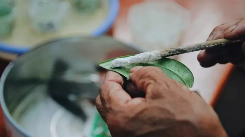 Dùng vôi ăn trầu cũng có thể làm sạch lá sách bò