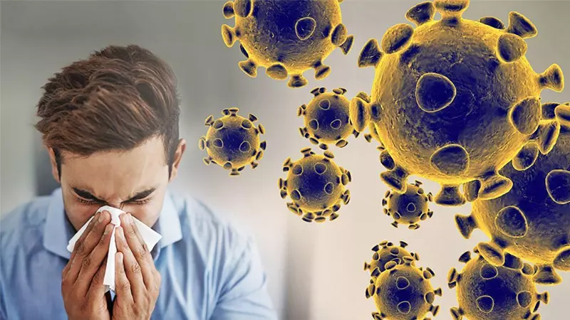 Những chất dinh dưỡng có trong lá sách bò sẽ giúp tăng cường sức đề kháng của bạn