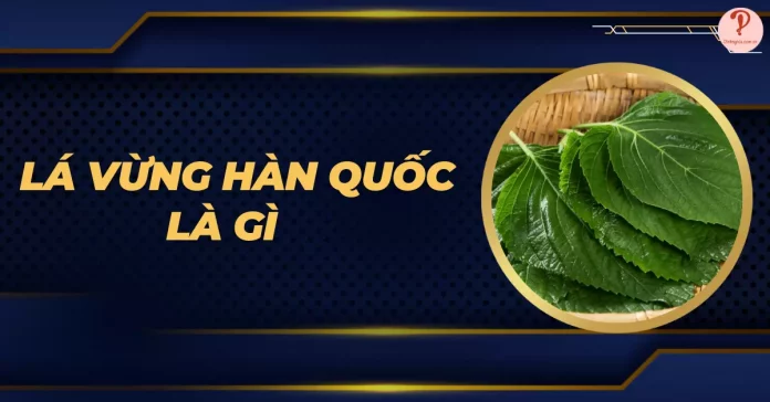 lá vừng hàn quốc