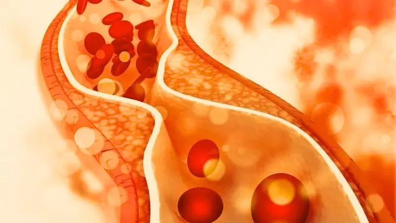 Khi ăn mề gà sẽ không ảnh hưởng đến mức cholesterol trong máu hoặc ảnh hưởng đến sức khỏe tim mạch