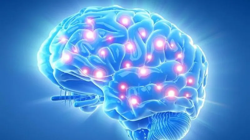 Mề gà có chứa hàm lượng Vitamin B12 nhiều, giúp hỗ trợ chức năng não
