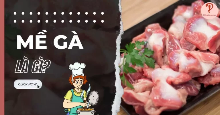 mề gà là gì