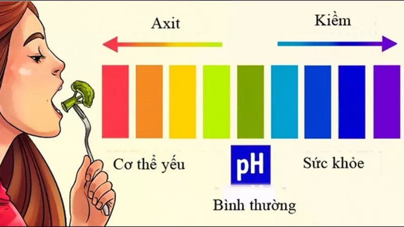 Môi trường kiềm là môi trường có độ pH lớn hơn 7