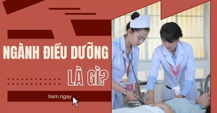 Ngành điều dưỡng là gì