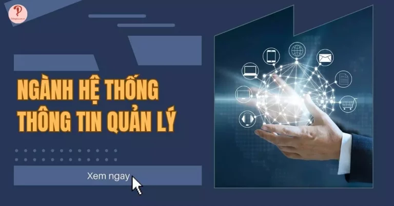 nganh-he-thong-thong-tin-quan-ly