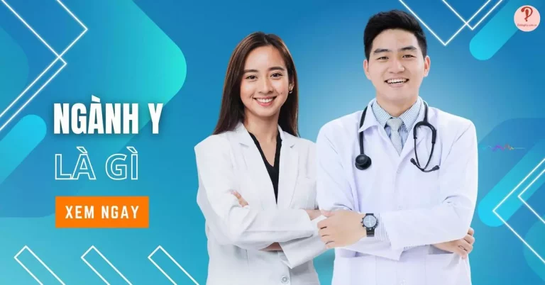 nganh-y-la-gi