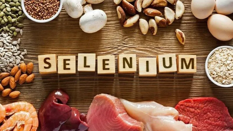 Ngoài sắt và đồng thì pate cung cấp selen và vitamin B2 khá nhiều
