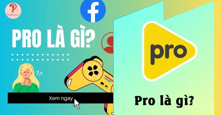 pro là gì