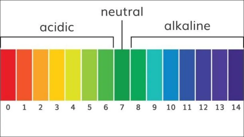 Giấy quỳ thường được sử dụng để phân biệt các dung dịch hóa học