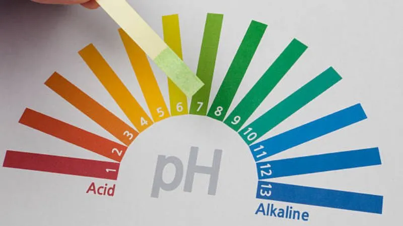 Giấy quỳ tím còn có thể dùng để xác định nhanh độ PH