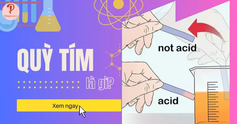 quỳ tím là gì