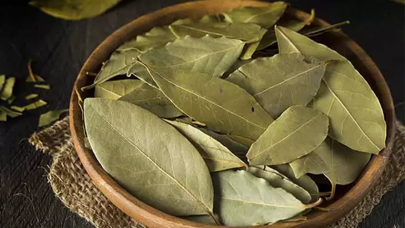 Lá nguyệt quế