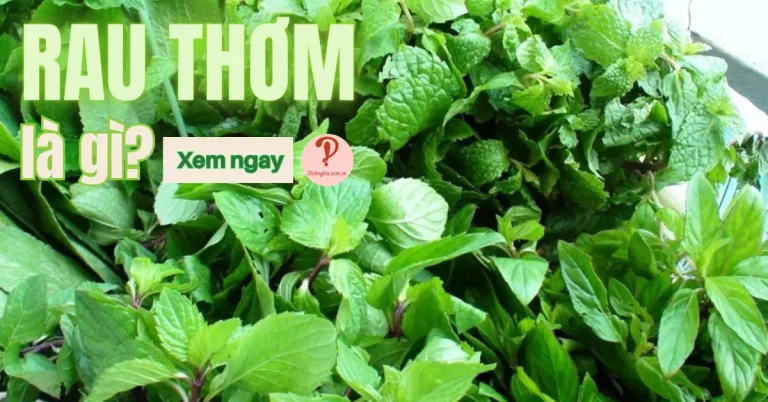 rau thơm là rau gì