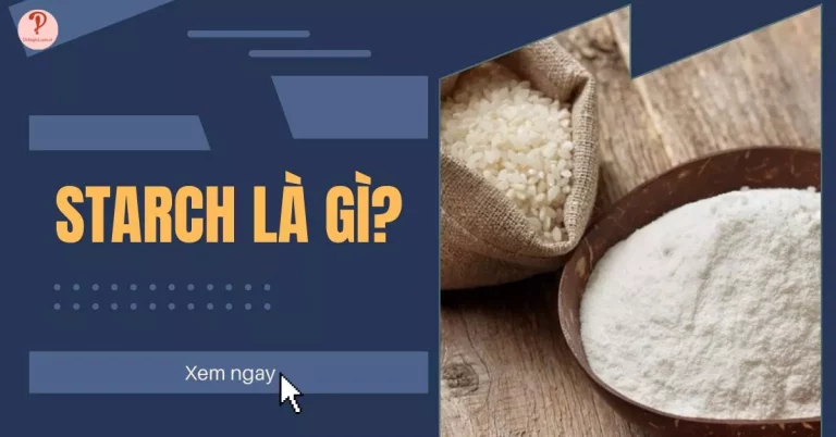 starch là gì