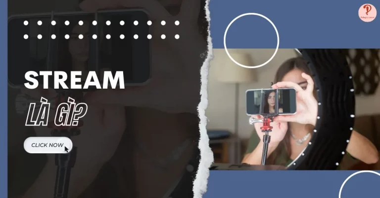 stream là gì