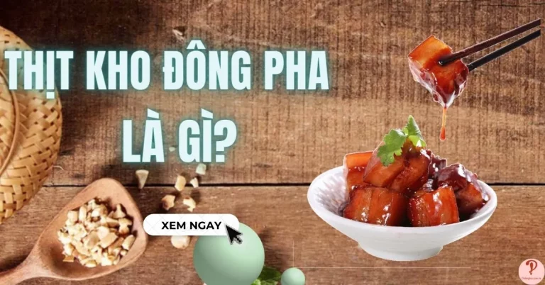thịt kho đông pha là gì