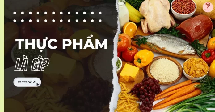 thực phẩm là gì