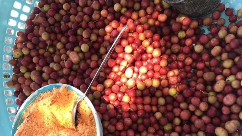 Trái Da Đá là loại trái cây đặc sản chứa lợi ích dinh dưỡng và còn là một thức ăn vặt dân dã thơm ngon