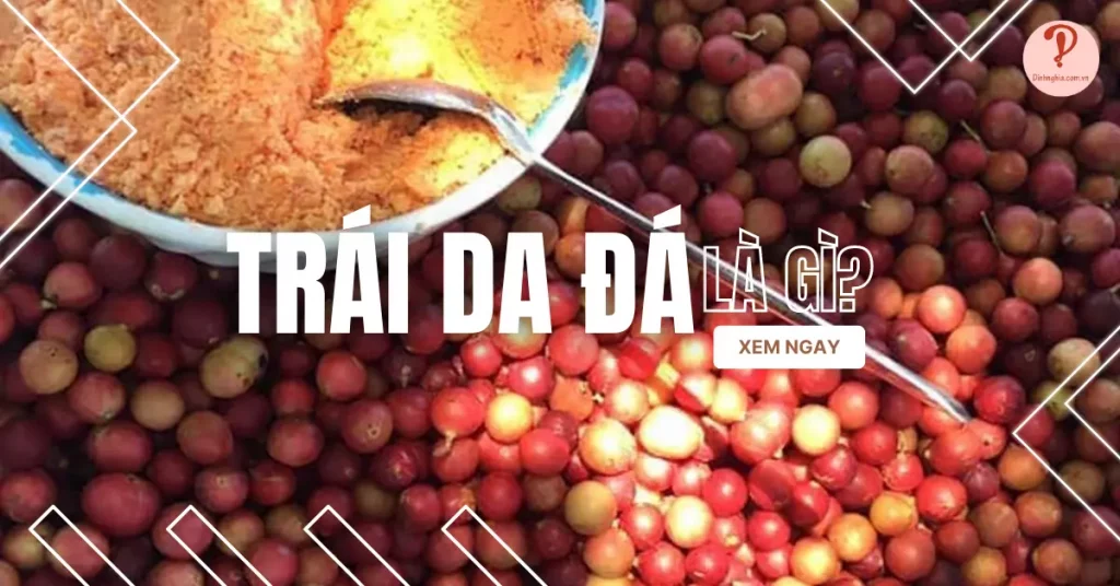 trái da đá là gì