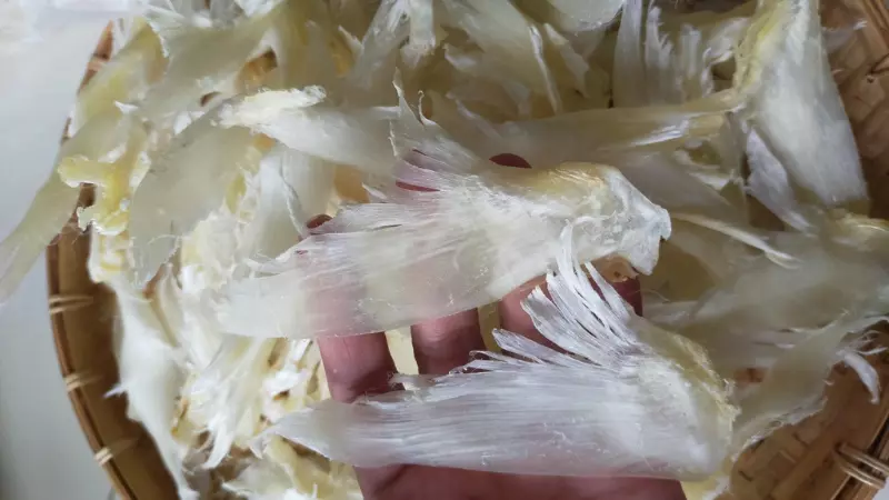 Hiện tại thì vi cá thường đang có mức giá khoảng 1.700.000 đồng/100g và 2.500.000 đồng/100g cho loại thượng hạng