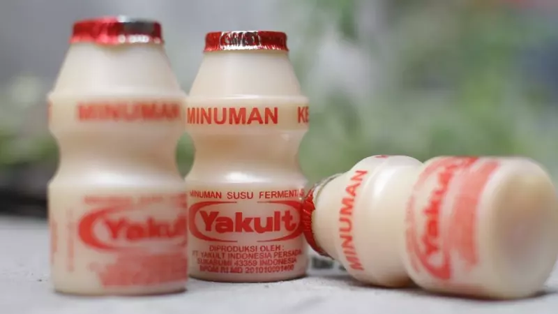 Yakult là thức uống lên men có chứa Lactobacillus casei Shirota