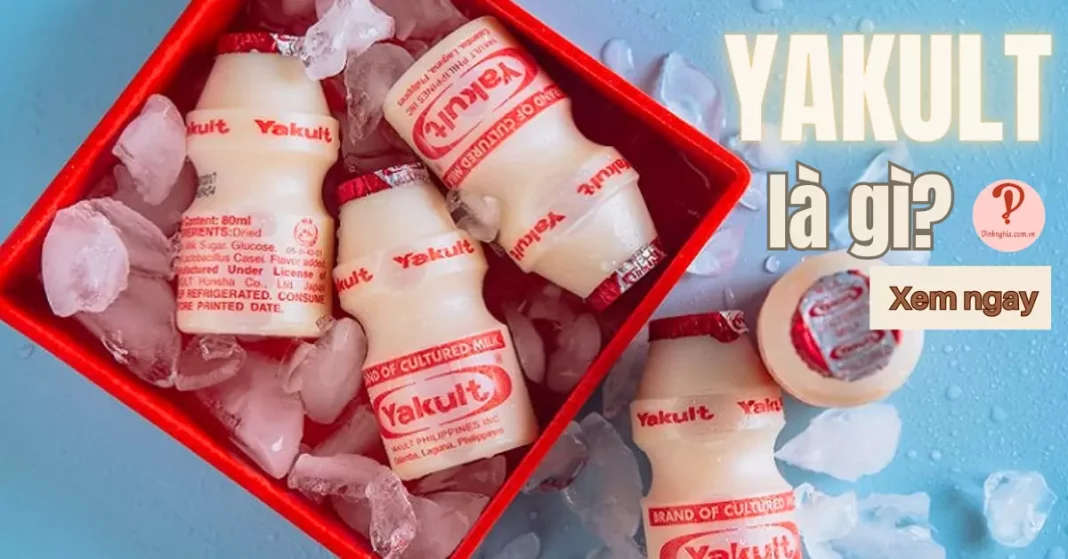 yakult là gì