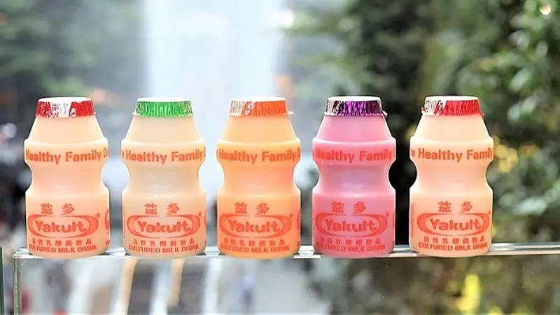 Sữa chua Yakult hiện đã có mặt tại tất cả các cửa hàng tạp hóa, siêu thị và website trực tuyến như Bách Hóa Xanh