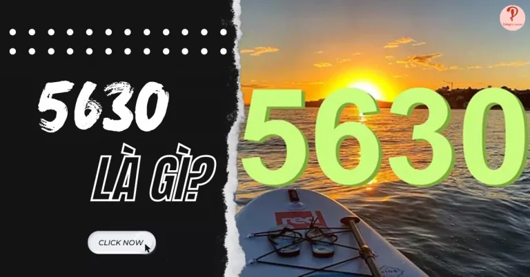 5630 là gì
