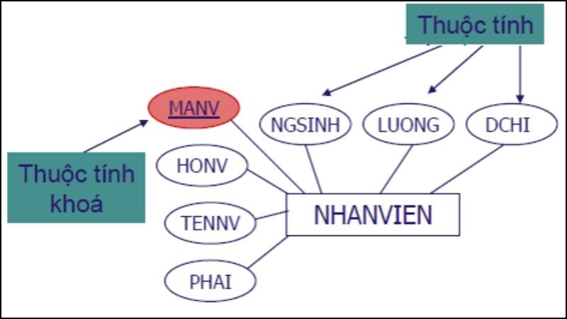 Thuộc tính khóa