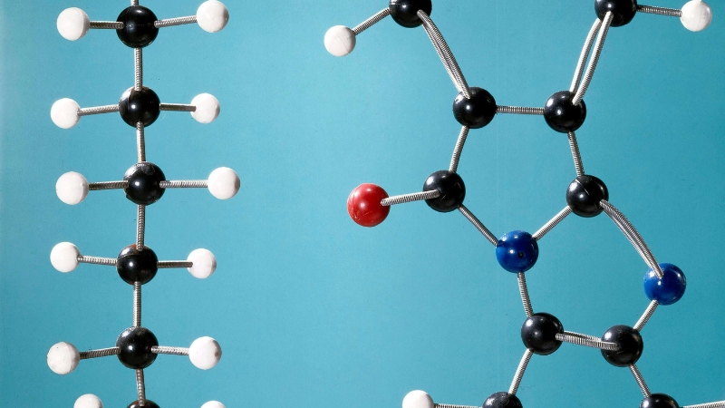 Polymer có cấu trúc liên kết mắt xích