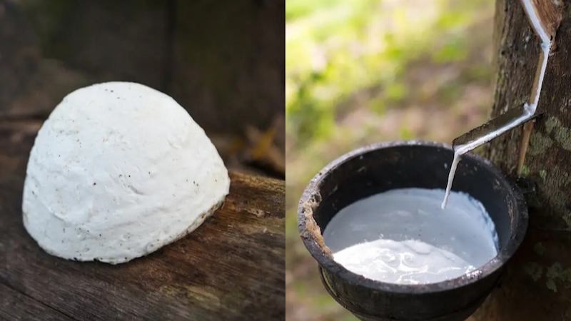 Cao su là một loại Polymer tiêu biểu