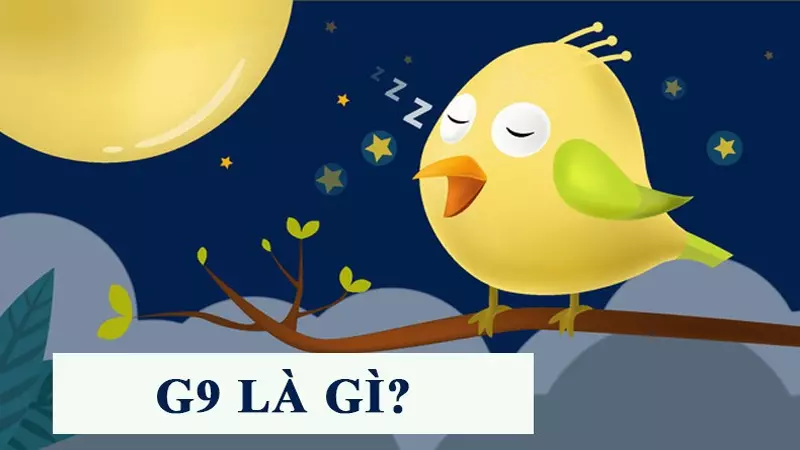 G9 là từ viết tắt của Good Night