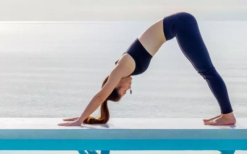 Tư thế chó úp mặt