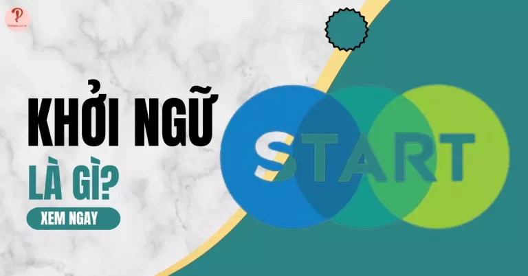 khởi ngữ là gì?