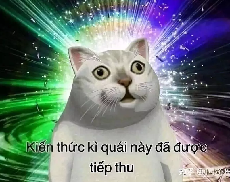 Meme mèo bựa