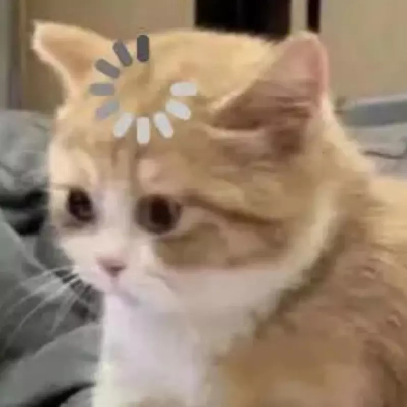 Meme mèo đáng yêu
