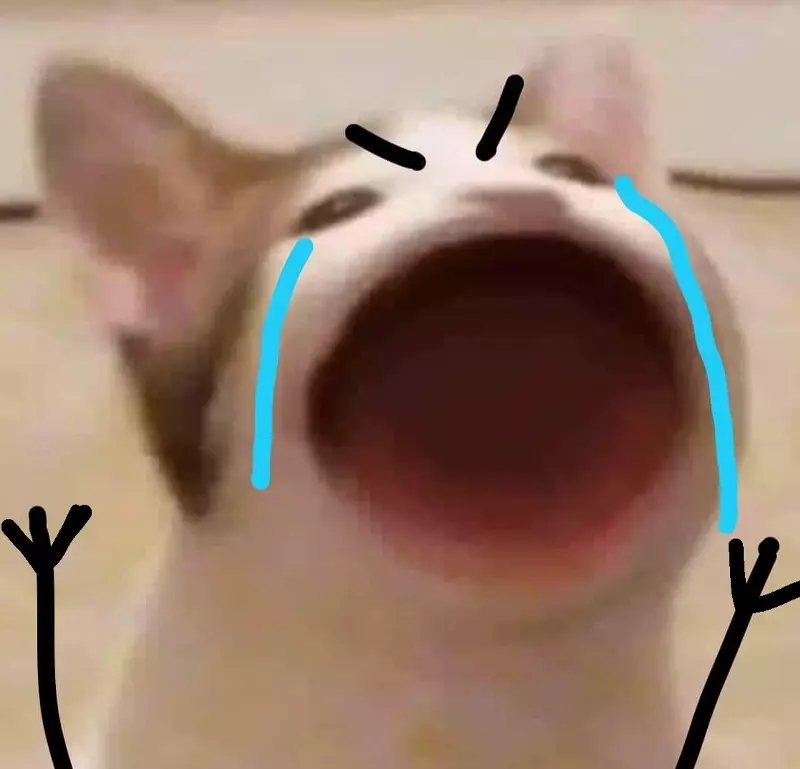 Meme mèo khóc