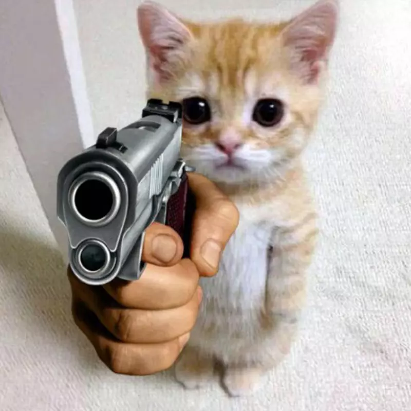 Meme mèo đáng yêu