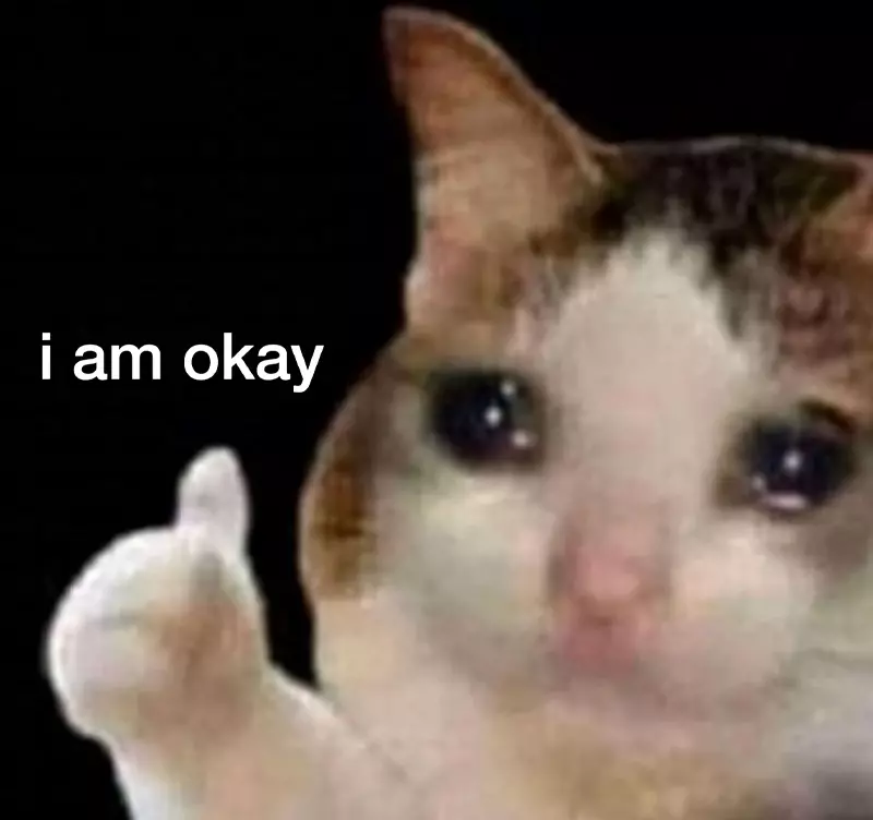 Meme mèo like