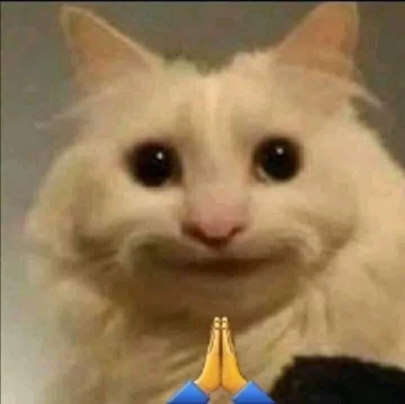Meme mèo bựa