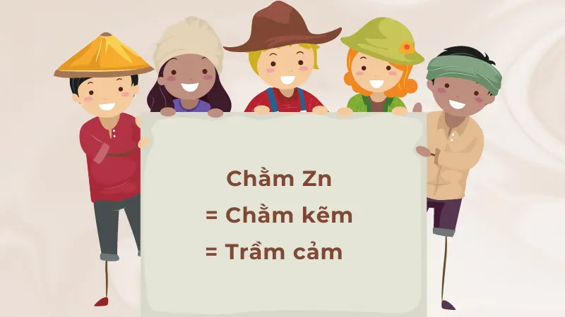 Chằm Zn