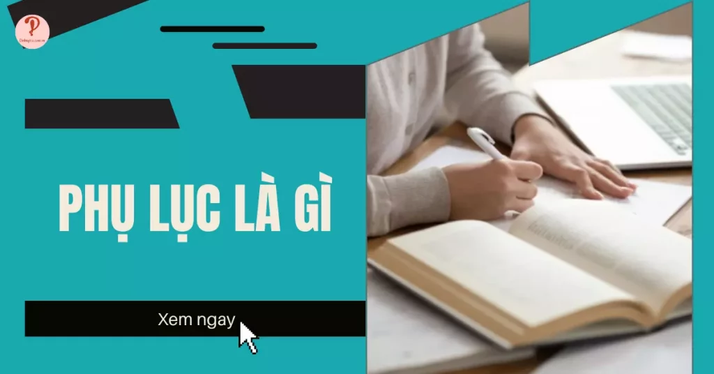 phụ lục là gì