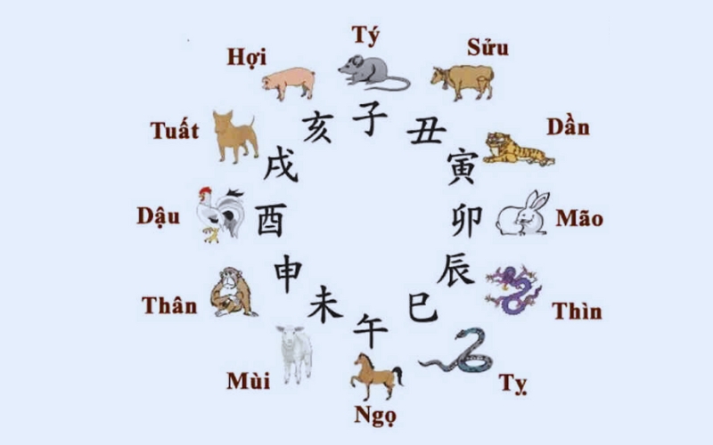 Địa chi là gì?