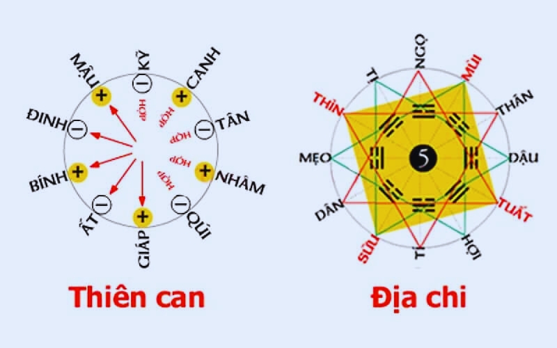 Ý nghĩa Ngũ hành Âm dương của Thiên can Địa chi