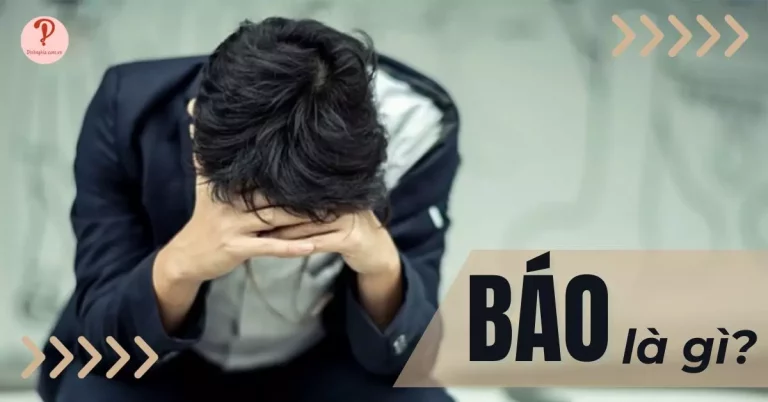 Báo là gì? Cách hiểu từ “báo” theo ngôn ngữ GenZ