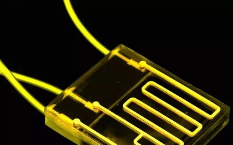 OOC khi được nhắc đến trong việc sản xuất chip lại là viết tắt của cụm từ “Organ-On-a-Chip”